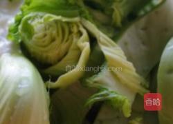 鲫鱼芥菜汤的做法图解3