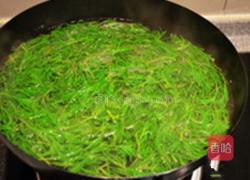 珍选捞汁海蓬菜的做法图解2