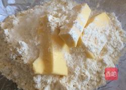 神马木瓜的做法图解1