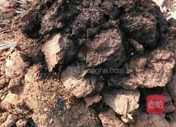 土窑鸡的做法图解2