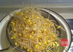 鲮鱼炒豆芽的做法图解4