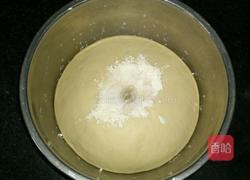 香菇鸡肉包的做法图解1