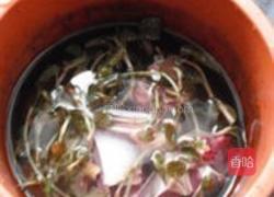 金线莲炖鸭肫的做法图解2