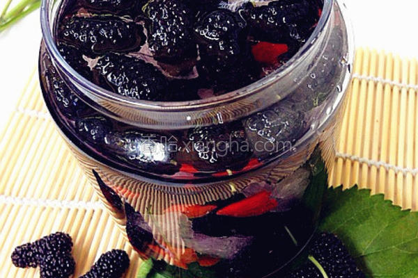 搜桑葚泡酒的配方 NjAwX2MxXzQwMA