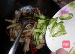 MjUwX2MyOjEvM15yYjI6MS84XzE4MA