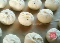 苋菜鲜肉包的做法图解4
