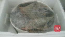 MjUwX2MxOjEvM15yYjI6MS84XzA