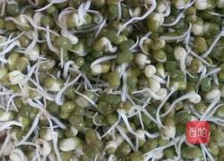 学做绿豆芽的做法图解4