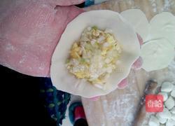 白菜鸡蛋素饺子的做法图解8