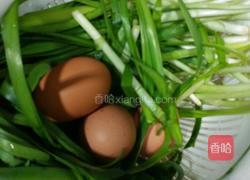 鸡蛋韭菜煎饼的做法图解1