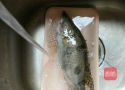 清蒸桂鱼的做法图解1