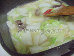 哪里的大白菜是带甜味的 MjUwX2MxXzA