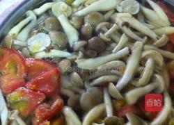 番茄营养菇汤的做法图解2