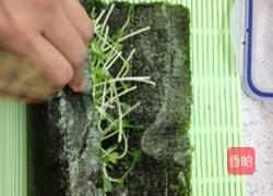 海苔豆苗卷的做法图解4
