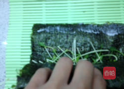 海苔豆苗卷的做法图解5