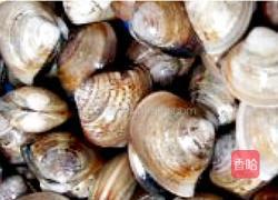 姜黄海鲜炖饭的做法图解5