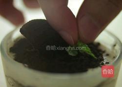 奥利奥木糠布丁的做法图解5