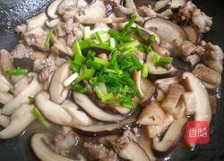 香菇炒猪肉的做法图解7