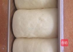 鲜奶吐司的做法图解6