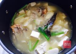 豆腐鱼头汤的做法图解4