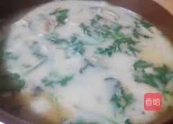 豆腐鱼头汤的做法图解6