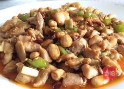 宫保鸡丁的做法图解19