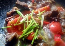 MjUwX2MxOjEvM15yYjI6MS84XzE4MA