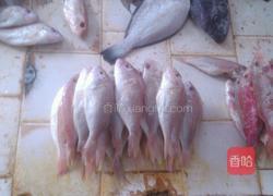 香煎咸红衫鱼的做法图解1