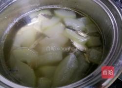 鱼骨煲冬瓜的做法图解5