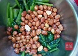 老醋花生拌菠菜的做法图解4