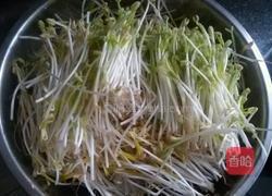 芽苗菜的做法图解9