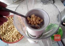原味豆浆的做法图解4