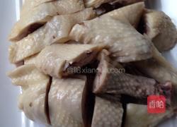 口水鸡的做法图解8