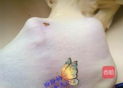 椰蓉面包的做法图解3