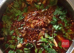 麻辣水煮鱼的做法图解9