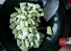 双鲜瓠子（双截棍瓠子）的做法图解4