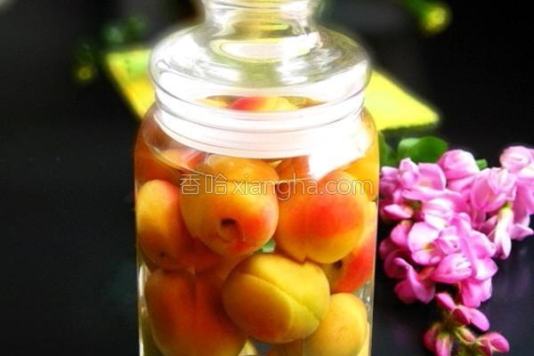 杏子酒的做法_杏子酒的做法大全_杏子酒的家