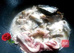 鱼肉炖豆腐的做法图解5