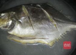 焖金枹鱼的做法图解3
