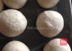 全麦小餐包的做法图解4
