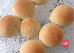 全麦小餐包的做法图解5