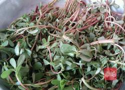 陕西面食～马齿笕菜面的做法图解1
