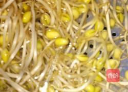 豆芽土豆面的做法图解3