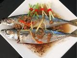 豆酱巴浪鱼