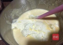 芒果冰淇淋的做法图解6