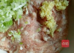 红烧狮子头的做法图解2