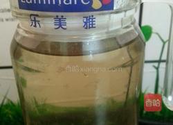 西柚陈皮双梅茶的做法图解6