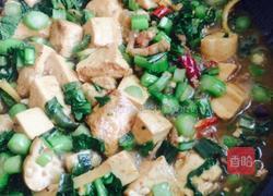 肉丝菜苔烧豆腐的做法图解11