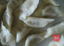 黄瓜肉饺子的做法图解11