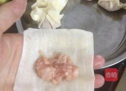 自制云吞的做法图解5